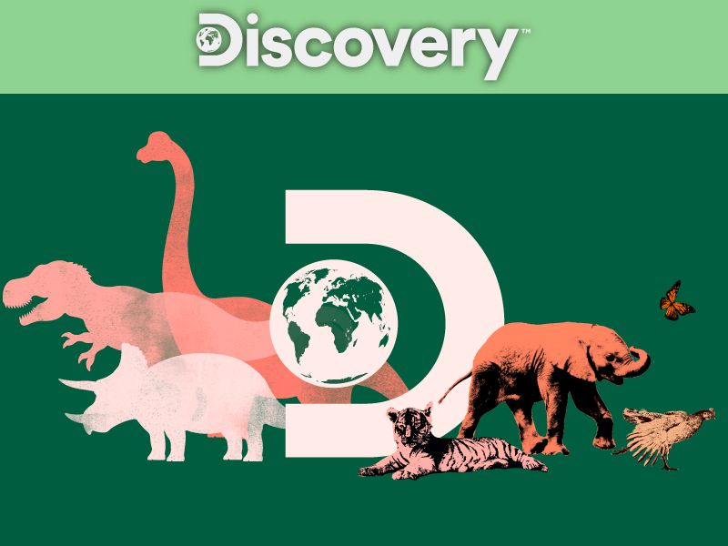 Discovery