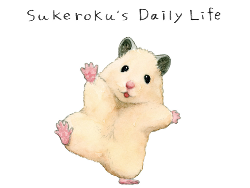 Sukeroku's Daily Life